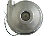 G010